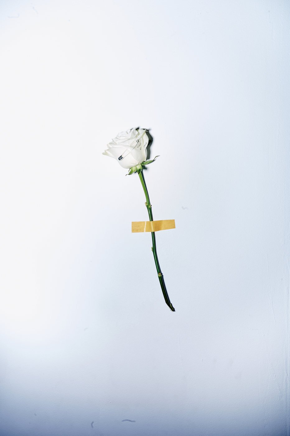 Veneno Studio Campaign 2026 — Studio campaign, styling by Veneno Studio, image 5 of 19