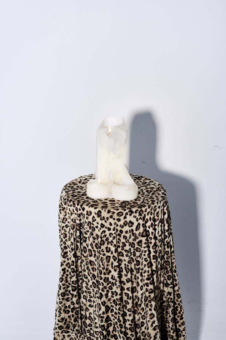 Veneno Studio Campaign 2026 — Studio campaign, styling by Veneno Studio, image 19 of 19